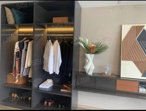 九龙仓天灏第4张图