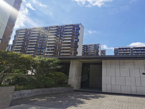 新澎湃国际社区第14张图