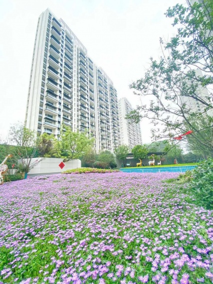 江南沄著实景图