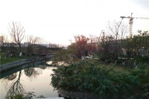 鲁能公馆开发商营业执照相册