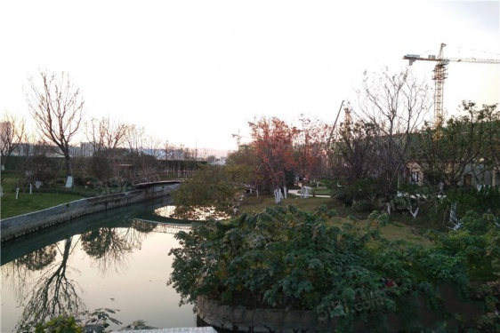 鲁能公馆第12张图