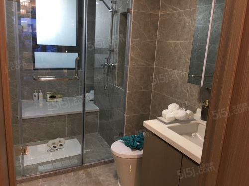 碧桂园大境风华第3张图