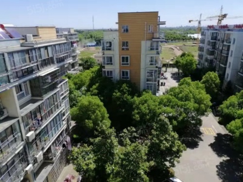 上海城新天地家园第11张图