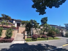 涵园开发商营业执照相册