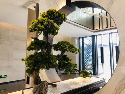 紫郡兰园第12张图