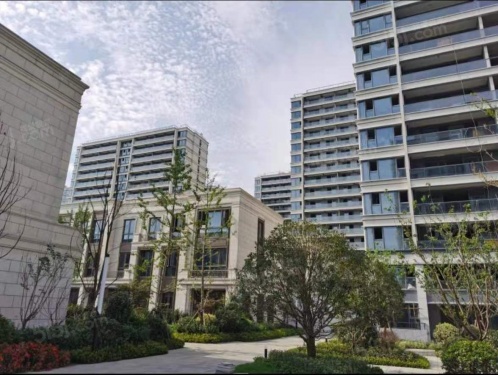 九龙仓天灏第24张图