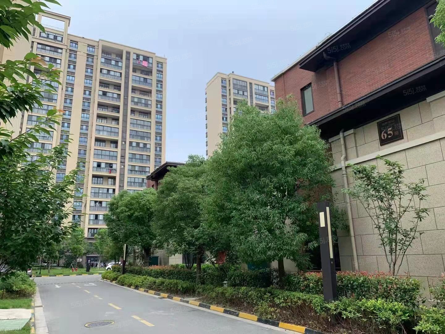 湖畔樾山实景图