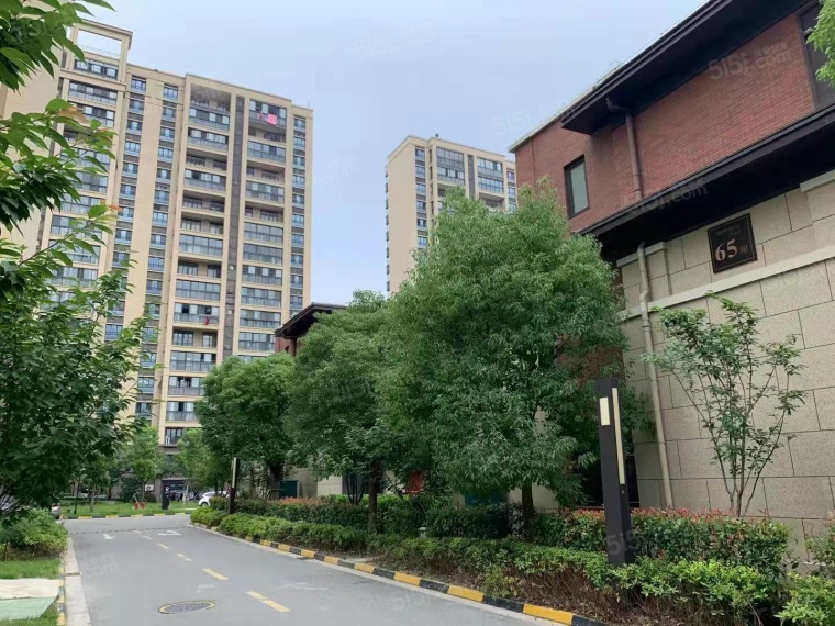 湖畔樾山实景图