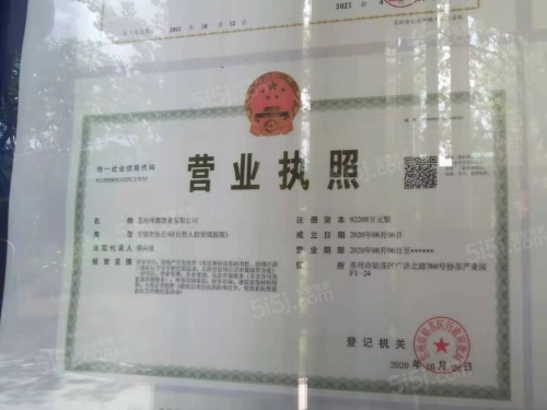 绿都云起平江第18张图