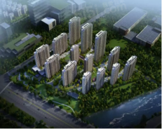 中梁新力宽泰铂园