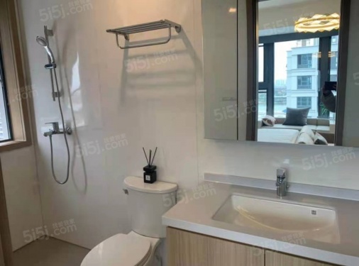 九龙仓天灏第17张图