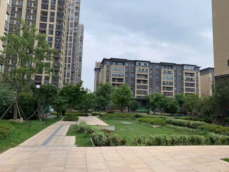 湖畔樾山实景图