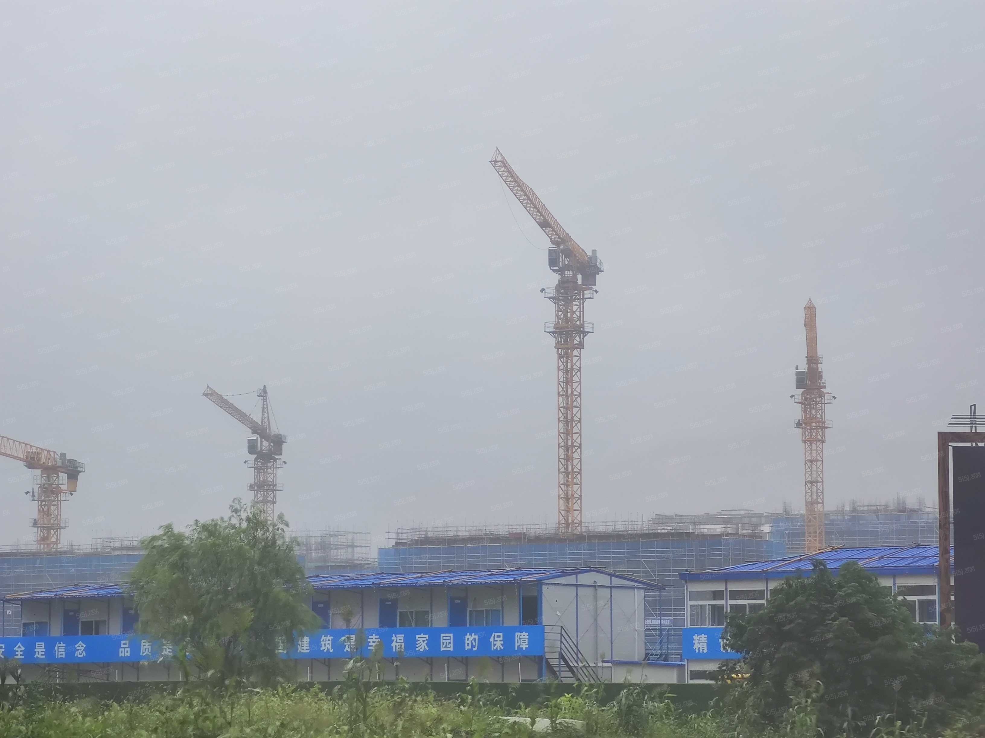 蔚然锦绣实景图