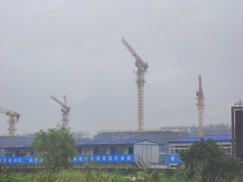 蔚然锦绣第9张图