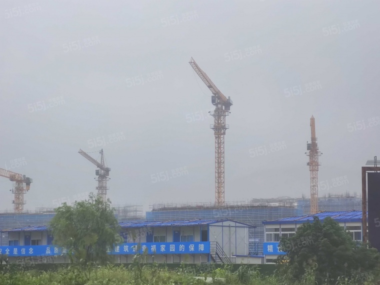 蔚然锦绣实景图