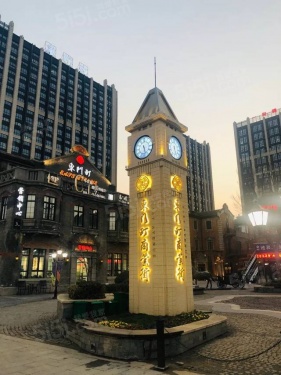 碧桂园大境风华第16张图