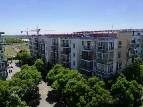 上海城新天地家园第10张图