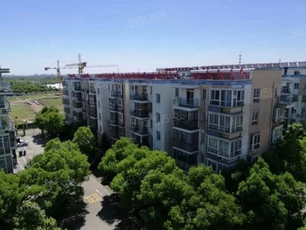 上海城新天地家园实景图