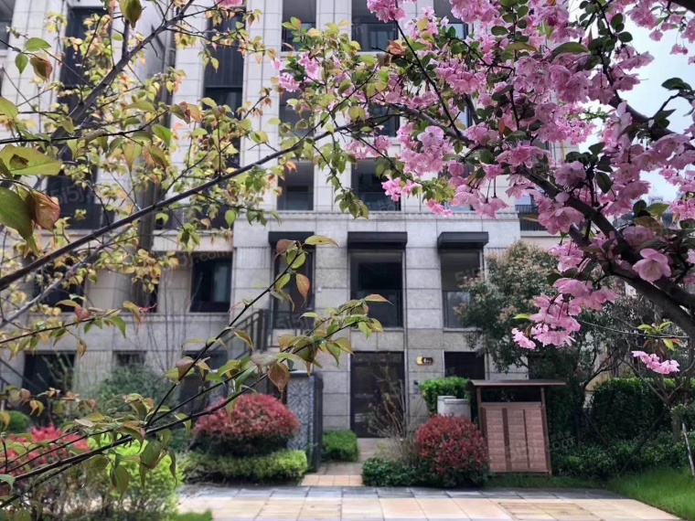 鲁能公馆实景图
