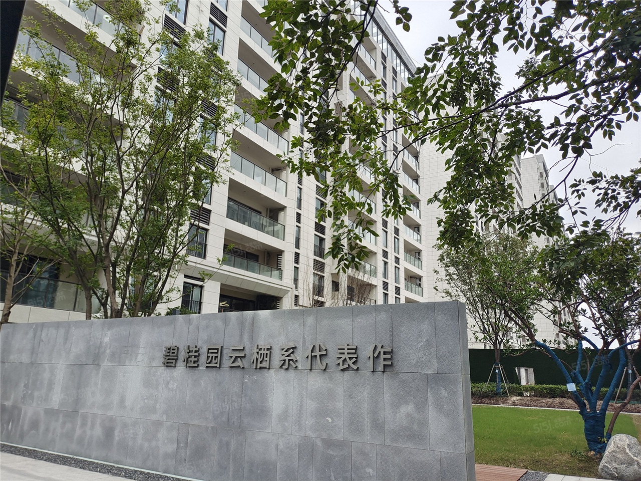 碧桂园云栖隐山实景图