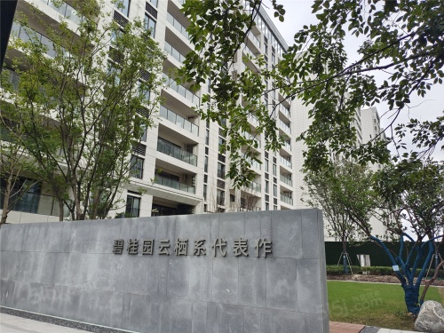 碧桂园云栖隐山第13张图