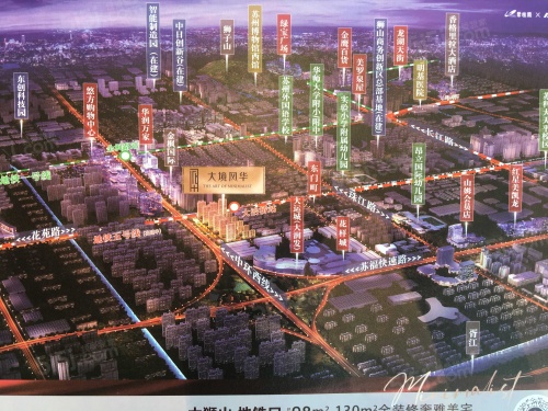 碧桂园大境风华第12张图