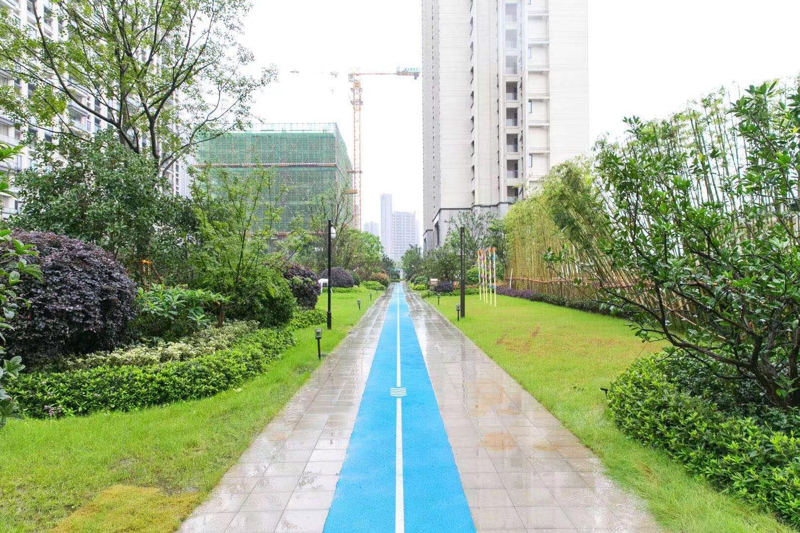 江南沄著实景图