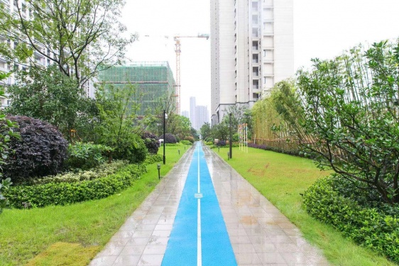 江南沄著第21张图