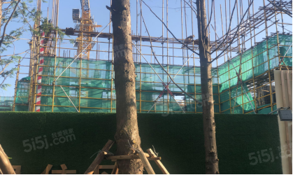 大境公园时代实景图