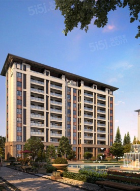 鲁能公馆第1张图