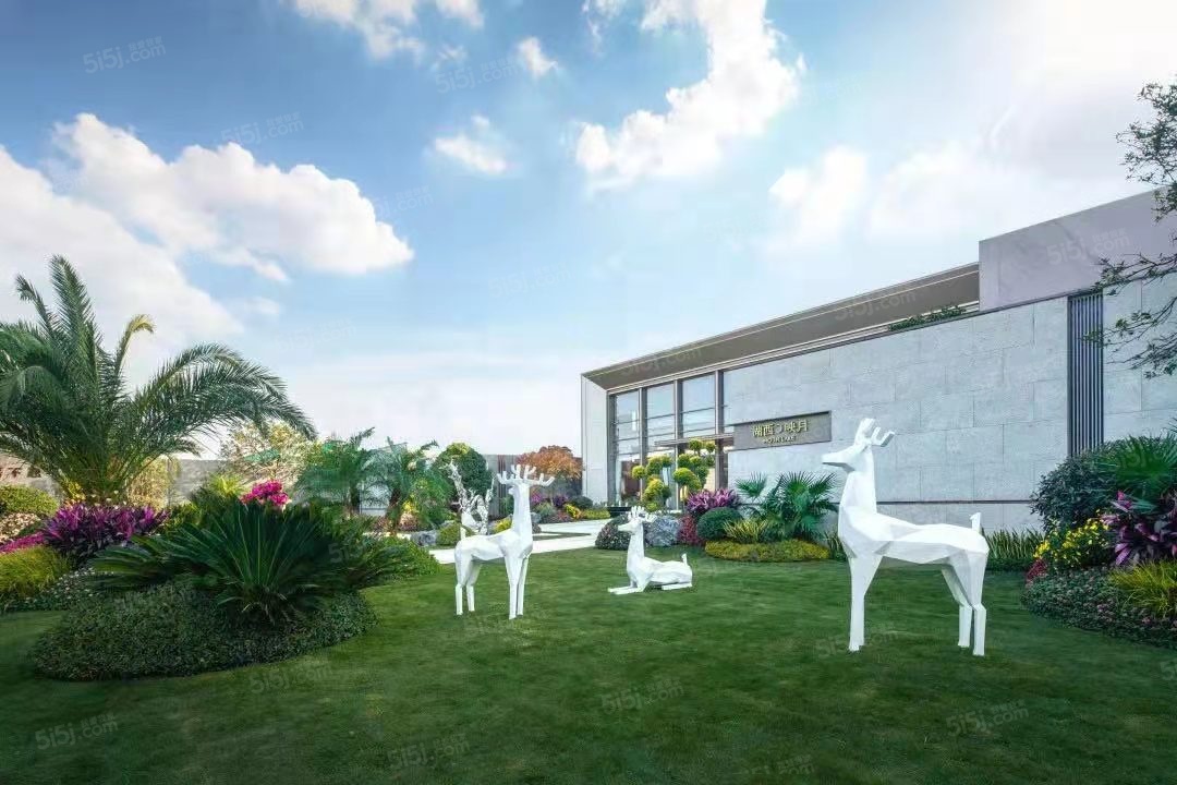 湖西映月实景图