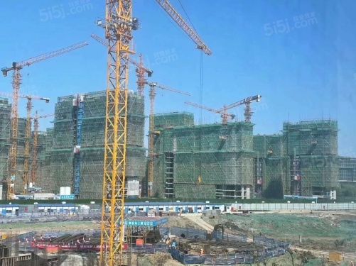 浅悦静庭第33张图