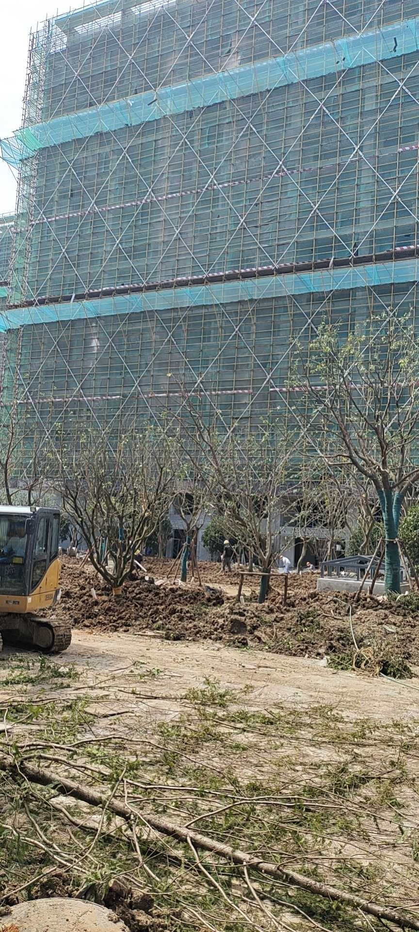 上坤云栖时光实景图