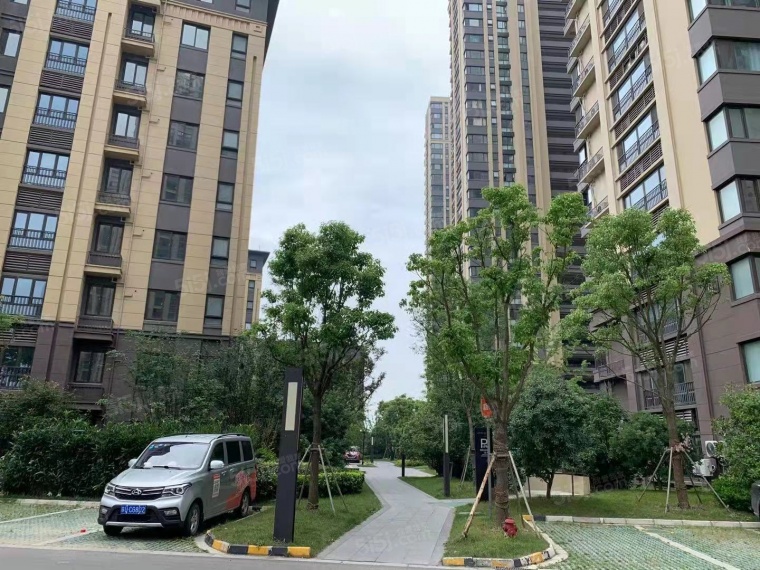 湖畔樾山实景图