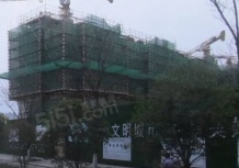 中粮天悦开发商营业执照相册