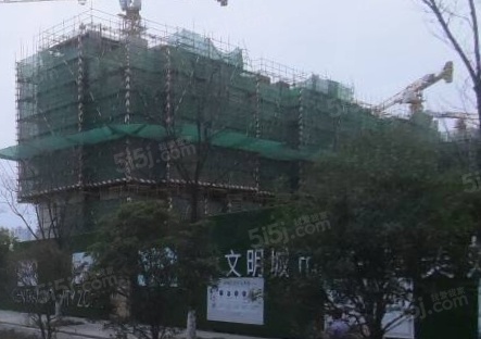 中粮天悦第5张图