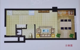 1室1厅1卫户型图