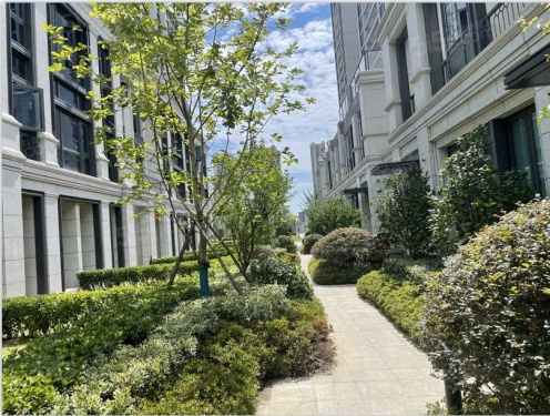 九龙仓天曦第26张图