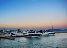 涵园开发商营业执照相册