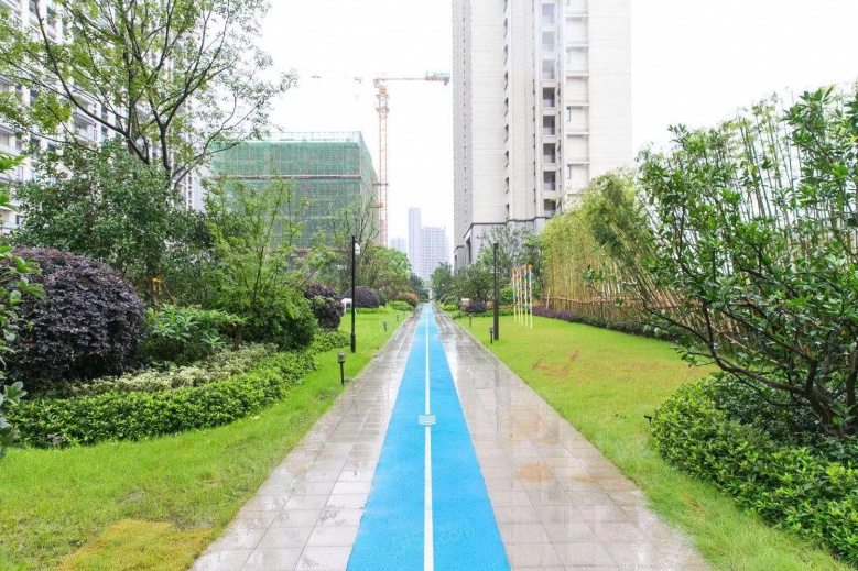 江南沄著实景图