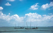 涵园开发商营业执照相册