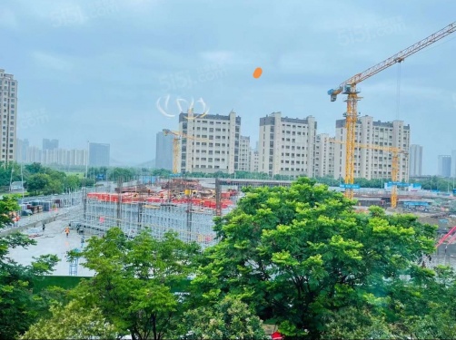 浅悦静庭第32张图