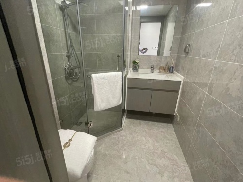 九龙仓翠樾庭第4张图