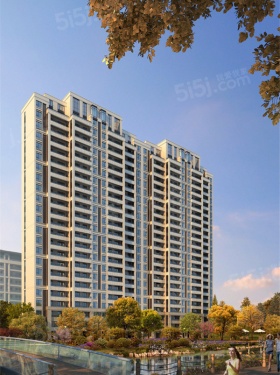 鲁能公馆第3张图