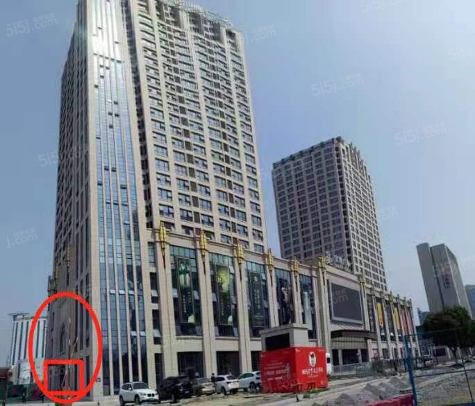 臻邸101公寓实景图