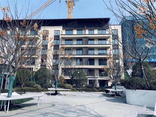 碧桂园伴山澜湾第4张图