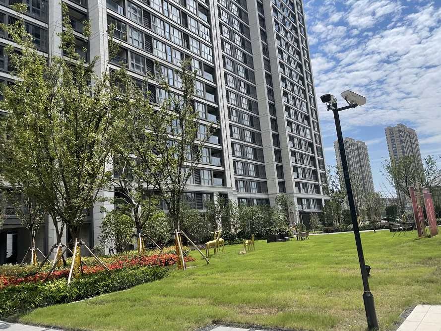 柳岸晓风实景图