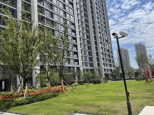 柳岸晓风第6张图