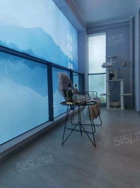 明月滨河第5张图