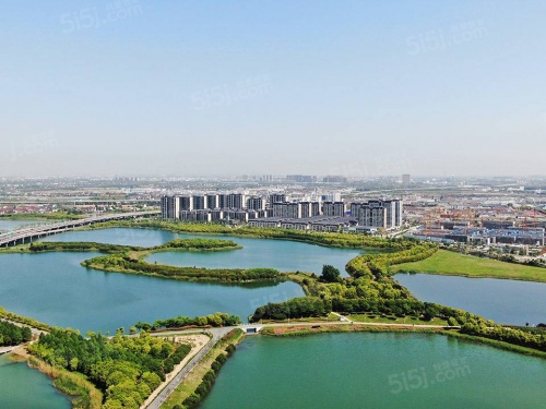 九龙仓天灏第29张图